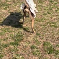 前だけを向いて…
