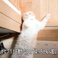 日向ぼっこをしてたら…