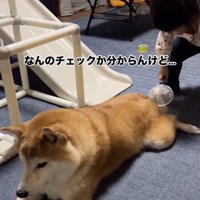 より入念に！