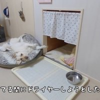 寝ている間に部屋から出たら…
