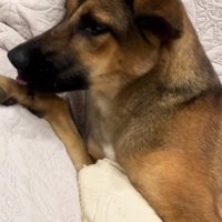 「あ～疲れた」