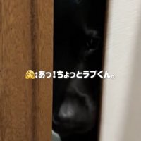 ガリッ！で開けてもらうことに成功