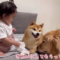 とっても綺麗になったね♡