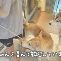 「本物の赤ちゃんがいた！」