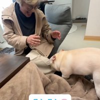 バーバに鼻を寄せる犬