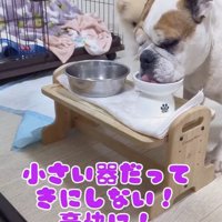 「とにかく豪快にっ」