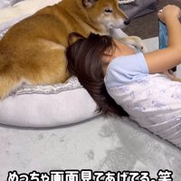 女の子が持っているゲーム機を見つめる犬