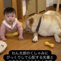 赤ちゃんにそっとお返事