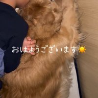 犬と一緒に眠る男の子