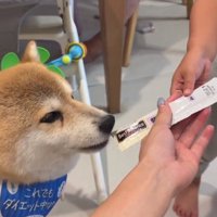 おやつをあげる姪っ子ちゃん