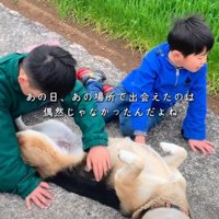 今では家族の中心的存在に