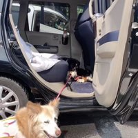 盛大に巻き添え