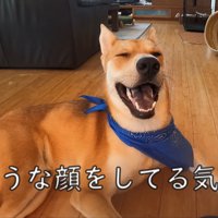 「涼しくて気持ちいい～！」