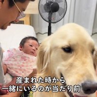 ずっと一緒の2人