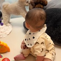 ゼロ距離のぽてとちゃん