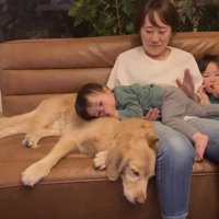 犬を枕にする赤ちゃん