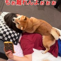 てんちゃんは全力で愛情表現♡