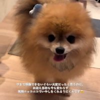 笑顔のうにくん