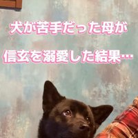 母作の衣装を着る信玄くん