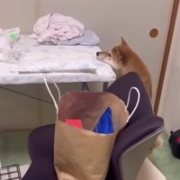 「え？もうここにいる？」