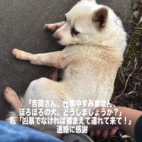 発見したのは福岡から来た親子