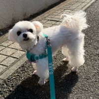 「帰りたくない…」