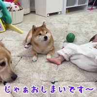 ほのちゃんは完了！！