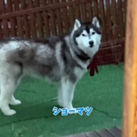 「なんで？」