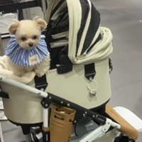 これが…わたし？