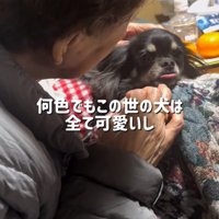 祖母に抱っこされる小型犬