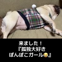 横向きで眠る犬