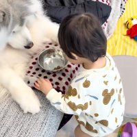 ごはんを差し出す息子さん