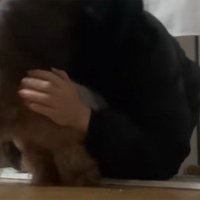 ちびちゃんのお出迎え7