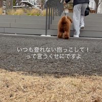 外の階段を登る時は…