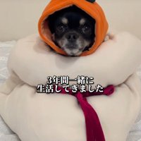思い出を積み上げて…