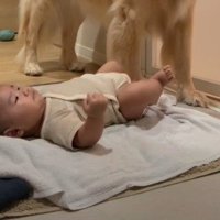 「お守りよろしくね」