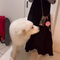 部屋に入ると…