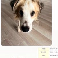 ダニエルくんとの数ヶ月間