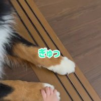 握手がしたい…♡