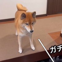 お母さんが来たら…