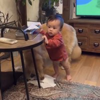 ティッシュで遊ぶ赤ちゃんと犬