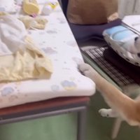 「なんでいないの！！」