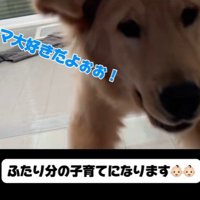 子育て中の家族とこてつ君の日常⑩