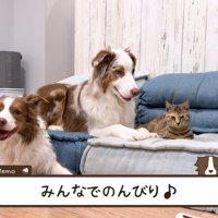 みんなでゆっくりひとやすみ