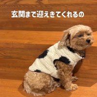 チャチャちゃんのお出迎え5