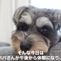 急にパパさんが帰って来ることに