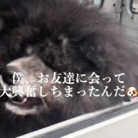 助手席でグルグル