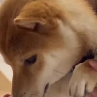 大切なふたりの時間♡
