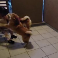 やっと帰ってきた！！