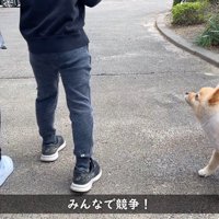 よーい、スタート！
